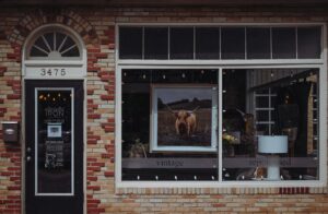 google ads local business guide